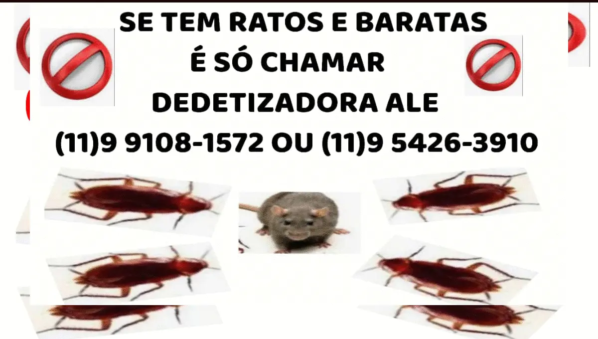 Desentupidora Vila Carrao